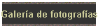 Galera de fotografas