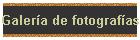 Galera de fotografas